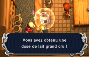 A Link Between Worlds : Quête annexe - Les Flacons